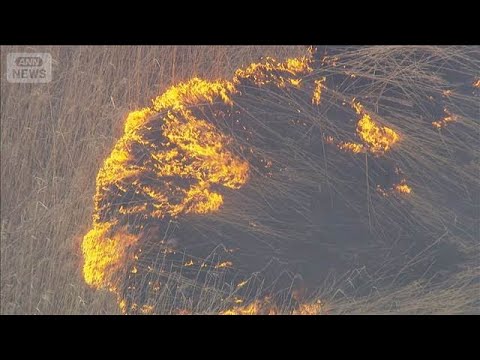 渡良瀬遊水地の枯れ草燃え　約70ヘクタール焼け7時間後に鎮火(2026年2月28日) サムネイル