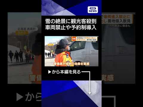 【ニュース】雪の絶景に殺到　オーバーツーリズムに北海道美瑛町で新対策　白川郷は完全予約制shorts サムネイル