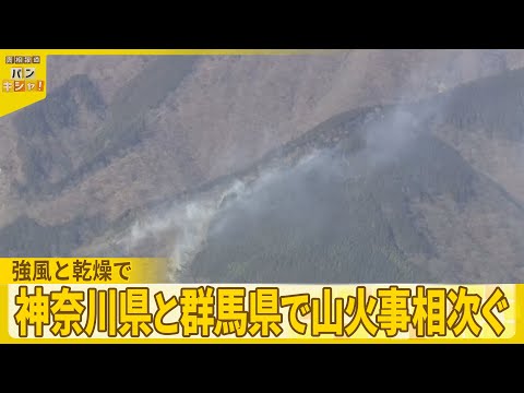 【山火事相次ぐ】神奈川・秦野市で山小屋「堀山の家」全焼…延焼続く　群馬・桐生市では県が自衛隊に災害派遣要請 サムネイル