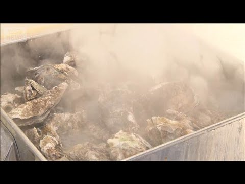 3連休ご当地グルメ求め大行列　熱々カキ汁に北海道の味覚集結　物価高もプチぜいたく【もっと知りたい！】【グッド！モーニン… サムネイル