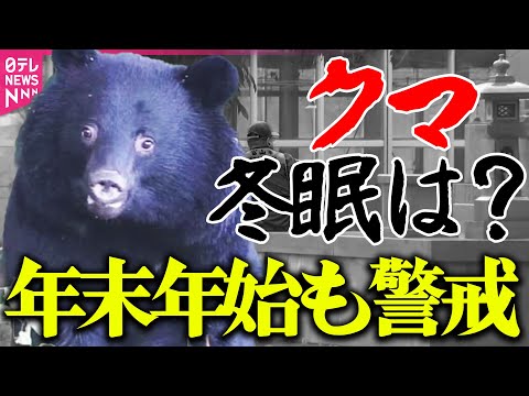 【真冬でもクマ注意】駆除は“一撃で”　駆除用銃弾の威力を検証/山林でハンター死亡 クマに襲われたか（日テレNEWS） サムネイル