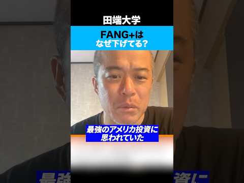 最強の米国株と言われていたFANG＋なぜ下げているのか！？ サムネイル
