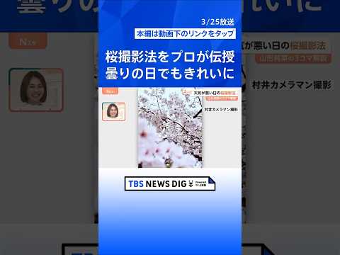 桜をスマホで上手に撮りたい！「曇ると色が…」「良い角度は？」プロが伝授 悩みを解決【Nスタ解説】｜TBS NEWS D… サムネイル