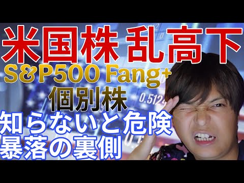 ​【緊急解説】なぜ米国株は乱高下してる？S&P500 FANG+ 個別株 知らないと危険！下落の裏側 サムネイル