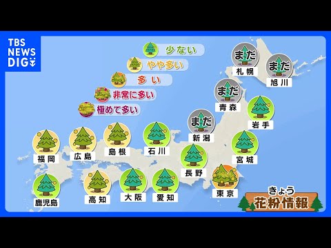 春本番の3連休　各地で春一番の可能性　関東でスギ花粉ピーク突入か　融雪災害・寒暖差・強風・黄砂・花粉・乾燥に注意｜TB… サムネイル