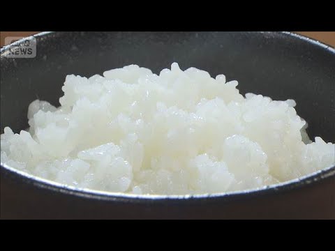 3月のコメ業者間価格　前月比で過去最大の下落幅に　2月より1711円値下がり(2026年4月17日) サムネイル