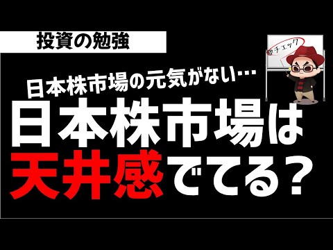 日本株市場は天井感がでているか？12月相場はどうなる？ズボラ株投資 サムネイル