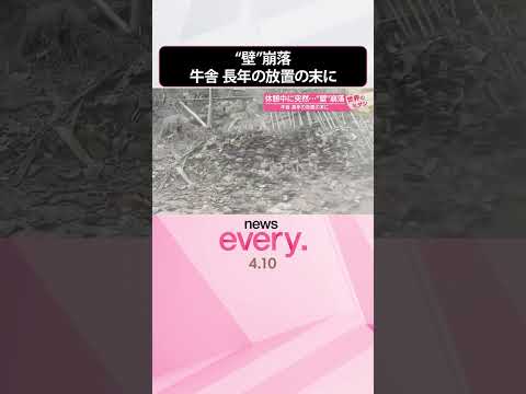 【中国】休憩中に突然・・・“壁”崩落  牛舎 長年の放置の末に『世界のミダシ』  shorts サムネイル