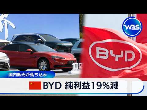 中国BYD 純利益19％減 国内販売が落ち込み【WBS】 サムネイル