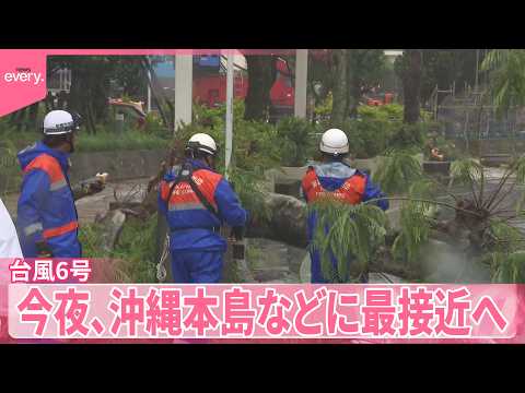 【台風6号】風にあおられ転倒など少なくとも6人ケガ  今夜、沖縄本島などに最接近へ  関東地方は今季初の猛暑日に サムネイル