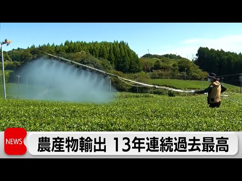 2025年農林水産物・食品の輸出額1.7兆円　和食人気が続き13年連続で最高更新 サムネイル