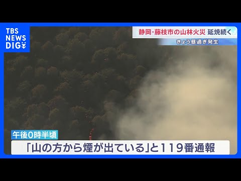 静岡・藤枝市で山林火災 広範囲に燃え広がり消火活動続く　人や建物への被害は確認されず｜TBS NEWS DIG サムネイル