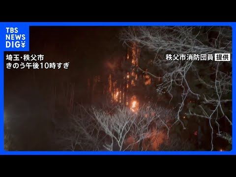 埼玉・秩父市の山林火災　一度「鎮圧」発表も再び延焼　きょうも消防や自衛隊による消火活動継続へ｜TBS NEWS DIG サムネイル