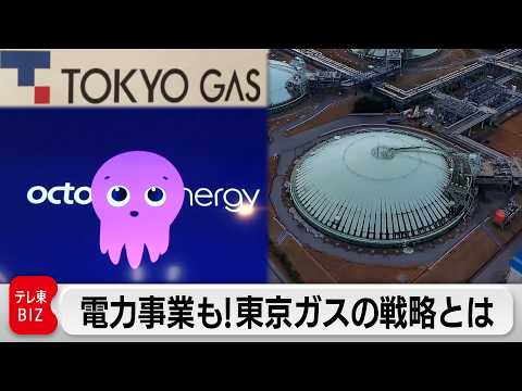 総合的エネルギー企業へ！東京ガスの“チャレンジングな”成長戦略とは【カンブリア宮殿】 サムネイル