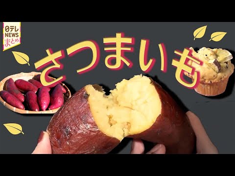 【やきいも】”うなぎいも”ってどんな味？さつまいも競争激化/焼き芋の唐揚げも…アレンジ焼き芋が増加中のワケ サムネイル
