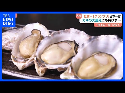 日本一美味しいカキを決める「全国牡蠣－1グランプリ2026」 王者の座は誰が！？海水温上昇による大量死も…歴史的苦境に… サムネイル