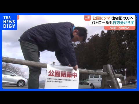 「公園内をクマが歩いている」体長約1.5メートルのクマが住宅街側へ歩き去る　山形市「みはらしの丘」　通報受けパトロール… サムネイル