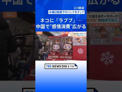 「新商品出たら全部買っちゃう」中国経済支えた「ラブブ」癒し・心の充実など“感情消費”広がる　ネコと触れ合う店も　次を狙… サムネイル