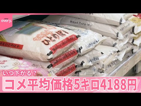 【いつ下がる？】コメ平均価格5キロ4188円  4000円台続く  生産者「3月頃には…」 サムネイル