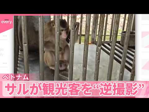 【ベトナム】スマホ泥棒と“撮影バトル”？　返してもらう条件は…『世界のミダシ』 サムネイル