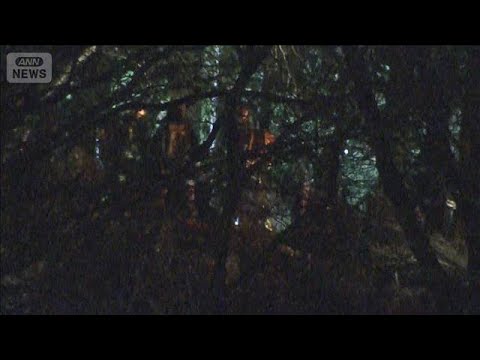 東京・青梅市のハイキングコースで下草など約2000平方メートル焼ける　警視庁(2026年1月18日) サムネイル