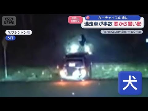 カーチェイスの末に逃走車が事故　窓から黒い影が…　アメリカ【スーパーJチャンネル】(2026年1月14日) サムネイル