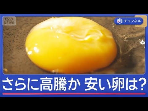 卵さらに高騰の恐れ　中東情勢と鳥インフルで業者悲鳴　安く買える穴場は？【スーパーJチャンネル】(2026年3月27日) サムネイル