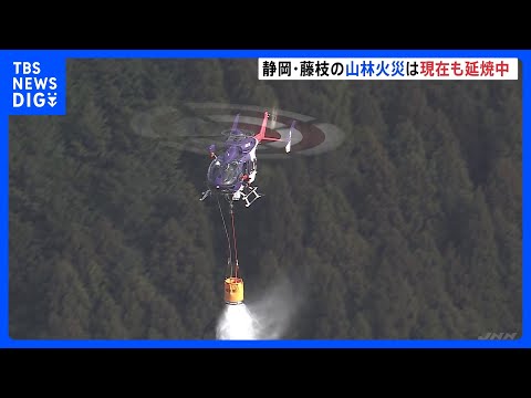 延焼中の静岡・藤枝市の山林火災　夜間に火が再燃するなど鎮圧に至らない状況続く｜TBS NEWS DIG サムネイル