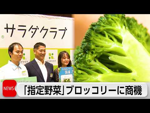 ブロッコリー 4月1日から指定野菜に　「サラダクラブ」がそのまま食べられるパック商品を開発 サムネイル