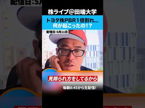トヨタ株PBR1倍割れ...どこまで下がる？ サムネイル
