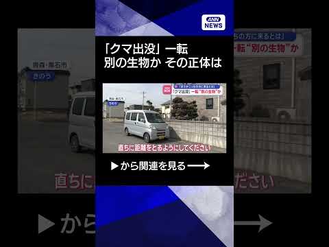 【ニュース】「クマ出没」一転“別の生物”か　「まさかこっちの方に来るとは」 shorts サムネイル