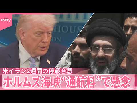 【米イラン2週間の停戦合意】ホルムズ海峡“通航料”で懸念…外務省幹部｢到底容認できない｣ サムネイル