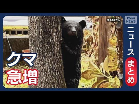 年の瀬の市街地に急増　“冬眠法”知らない子グマが徘徊 / 罠にかかったクマに襲われたか “猟友会”の男性死亡　宮城 /… サムネイル