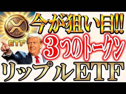 【爆発的な上昇を狙う3つのトークン】バブルはまだまだ続く！【ビットコイン/リップル/XRPETF】 サムネイル