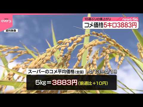 【コメ平均価格】10週ぶりの値上がり  5キロ3883円 サムネイル