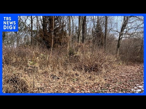 栃木県内で今朝だけでクマが2頭相次いで目撃される　警察が現場周辺警戒中｜TBS NEWS DIG サムネイル