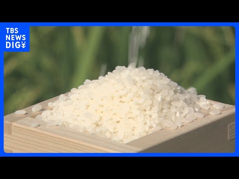 【速報】5キロあたりのコメ平均価格4416円　過去最高をまた更新｜TBS NEWS DIG サムネイル