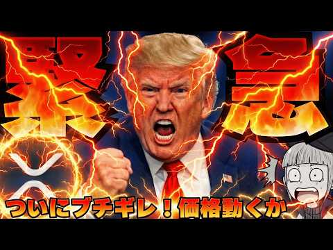 【※ホワイトハウス激怒】最重要法案が危険！ビットコイン、XRP価格が動くか！ サムネイル