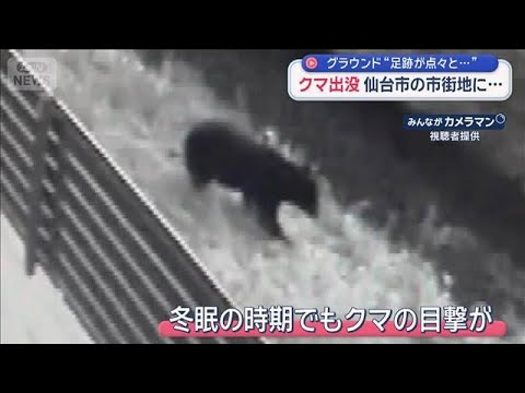 市街地にクマ出没　グラウンドに“足跡が点々と…”目撃情報が後を絶たず　仙台市【スーパーJチャンネル】(2025年12月… サムネイル