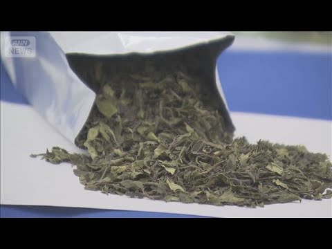 違法薬物含む「カート」　国内で初押収【スーパーJチャンネル】(2026年3月17日) サムネイル