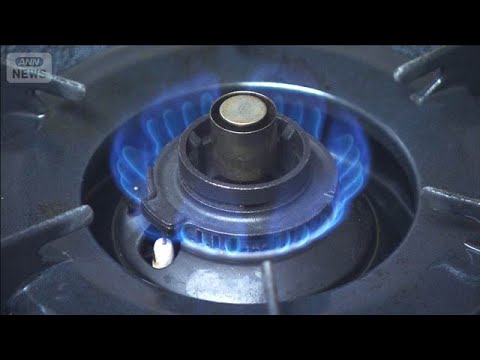 4月使用分　電気・ガス料金　大手すべてで値上がり　補助金終了が主要因(2026年3月27日) サムネイル