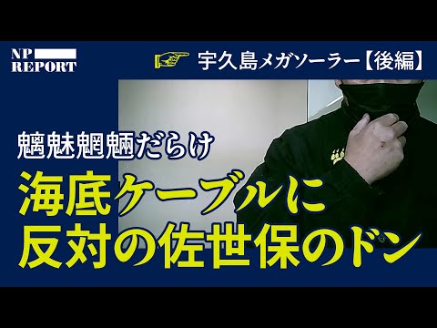 【島の4分の1】メガソーラーで覆われる「国境の島」の真実 後編（宇久島／太陽光／再エネ／参政党）｜NPレポート サムネイル