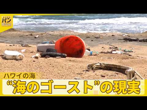 【桝太一Cハワイの海へ】自然豊かな裏側で…漂う“海のゴースト”の現実『バンキシャ！』 サムネイル