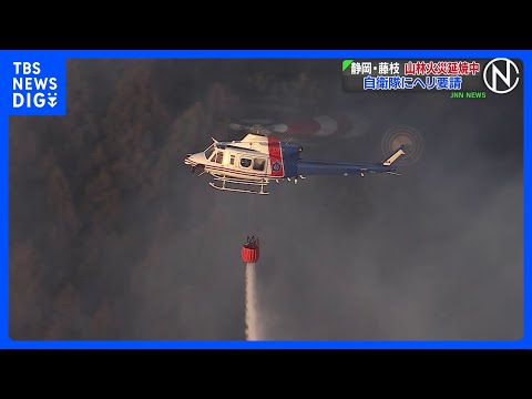 静岡・藤枝市で山林火災 延焼続く 人や建物への被害は確認されず あす朝から消火活動再開予定 自衛隊にヘリ要請｜TBS… サムネイル
