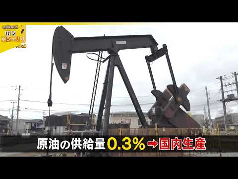 【原油ピンチ】備蓄放出も…近づくリミット  懸念高まるなか“国産原油”の実態は【バンキシャ！】 サムネイル