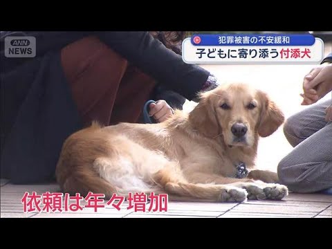 「わたしを少し強くしてくれた」　犯罪被害にあった子どもに寄り添う「付添犬」とは【スーパーJチャンネル】(2025年12… サムネイル