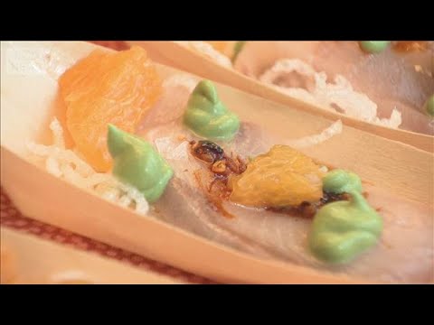 鹿児島県の食と観光をアメリカ・ワシントンでPR　知事は販路拡大に意欲(2026年4月14日) サムネイル