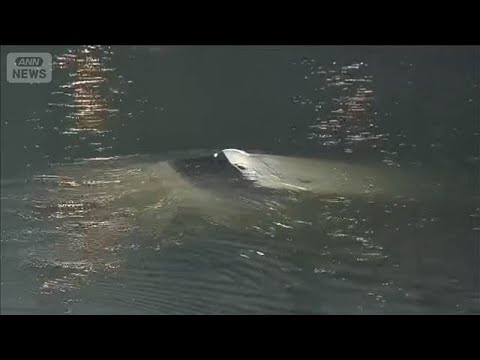 衝突事故で女を現行犯逮捕　車が川へ転落　女性（59）死亡(2026年4月2日) サムネイル