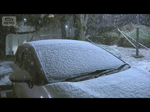 関東各地で今季一番の積雪に　路面凍結やスリップ事故注意(2026年1月3日) サムネイル