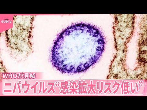 【ニパウイルス】インドで感染確認  “感染拡大リスク低い”WHOが見方示す…ロイター通信 サムネイル